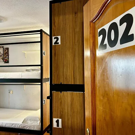 El Cascabel 게스트하우스